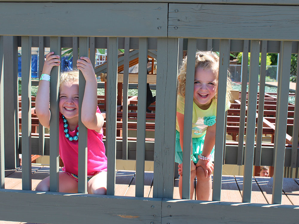 Jungle Maze | Cherry Hill Water Park